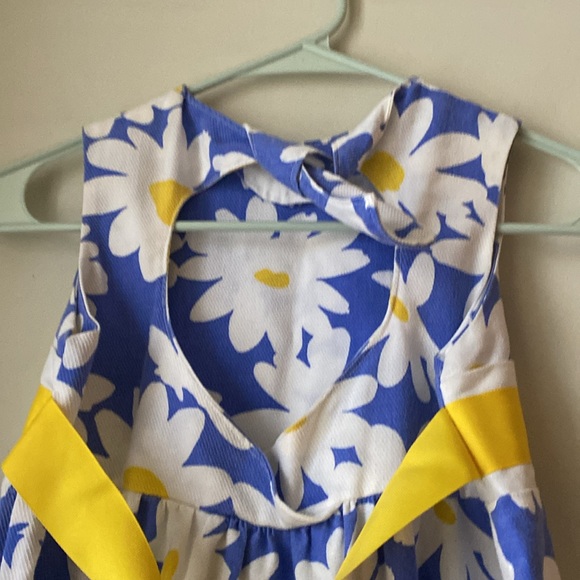 Daisy dress, size 6x - Picture 6 of 9